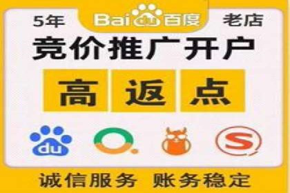 某品牌SEM推广策略的成效与启示